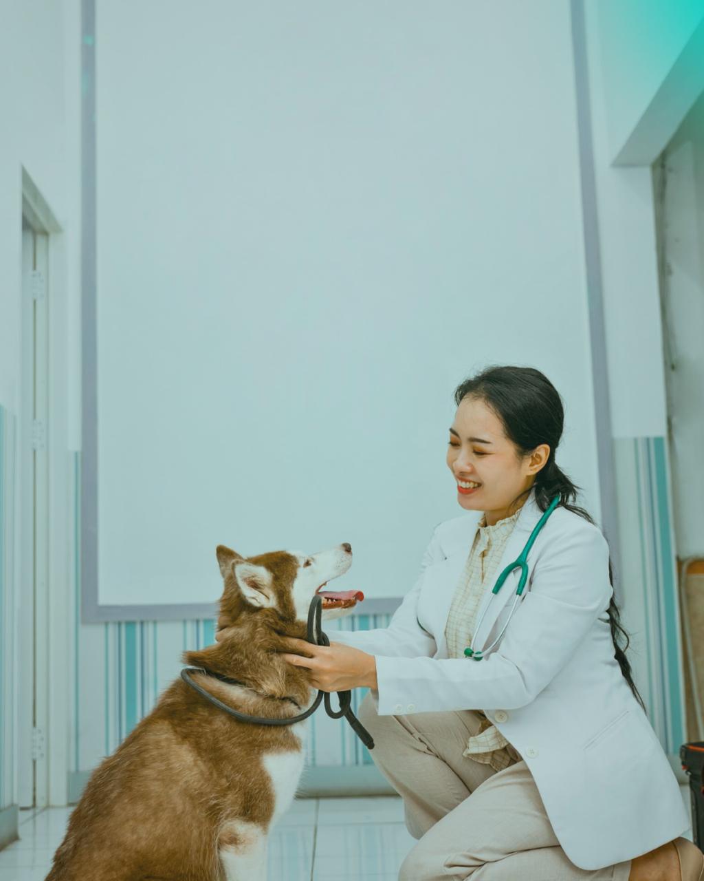 Veterinário realizando consulta – Clínica Geral CIMEV Betim MG